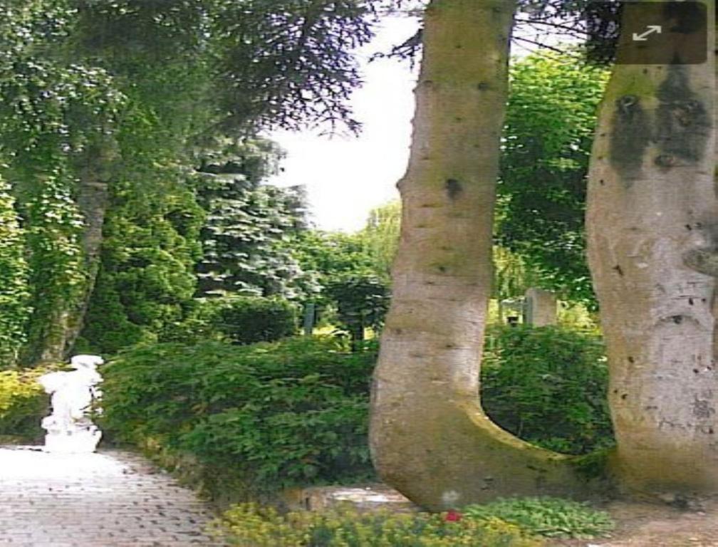 7 , Le Haut Montraye Pacé Kültér fotó