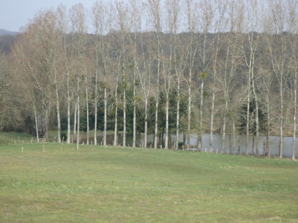 7 , Le Haut Montraye Pacé Kültér fotó